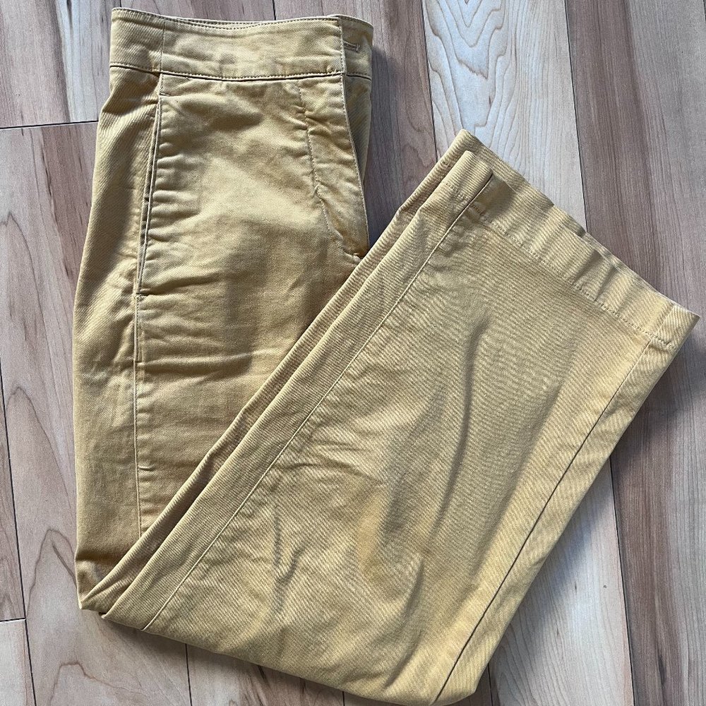 Aritzia The Group Babaton Walsh pants